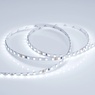 Лента светодиодная RT 2-5000 24V Cool 8K 5mm 2x (3528, 600 LED, LUX) (Arlight, 9.6 Вт/м, IP20)
